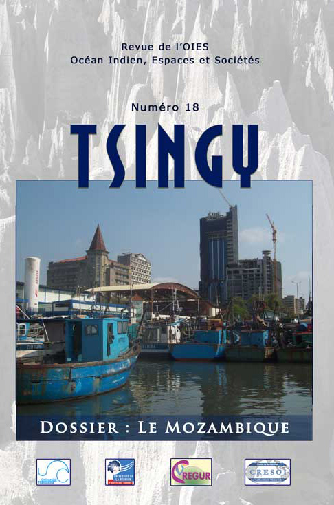 1re de couverture de Tsingy n°18