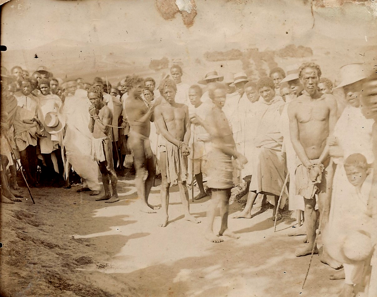 Image 10000000000004B6000003B6B62C63AF9848F832.png