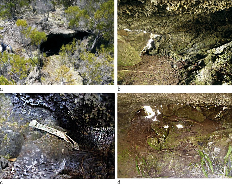 Fig. 4 : a, caverne anthropisée située à l’ouest du Piton de Coco ; b, espace intérieur de la caverne ; c, ossement animal épars ; d, aménagement rocheux obstruant une ouverture au fond de la caverne