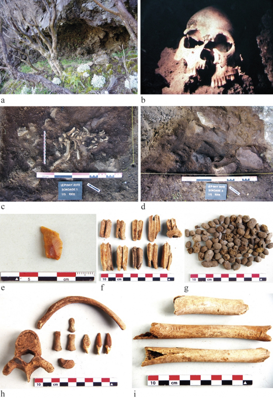 Fig. 5 : a, ouverture de la caverne Lépinay ; b, extrait du film de J.-P. Santot ; c, squelette de chèvre juvénile incomplet mais en position primaire à en juger par la conservation de la plupart des connexions articulaires ; d, roches disposées en cercle pour l’aménagement d’un foyer ; e, fragment de silex blond ; f, dents de cabris ; g, coprolithes de cabris ; h, restes humains retrouvés en position secondaire dans un dépôt sédimentaire remanié ; i, diaphyses de cabri marquées de traces de découpe