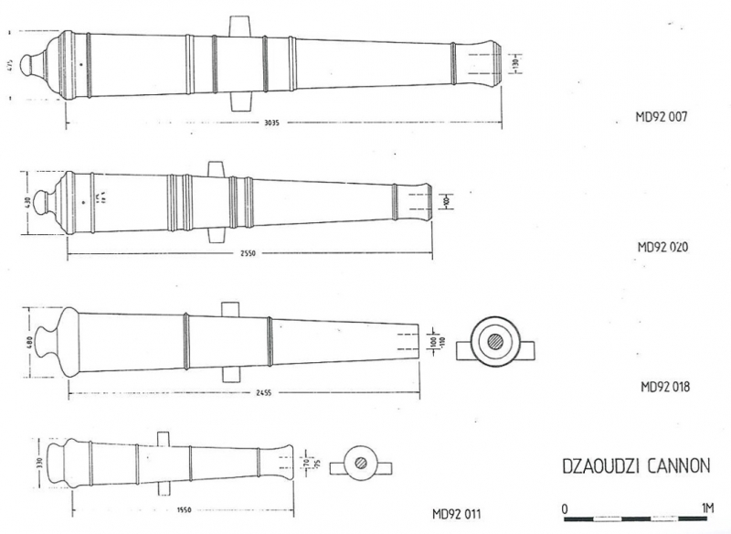 Fig. 10 : Canons de Dzaoudzi