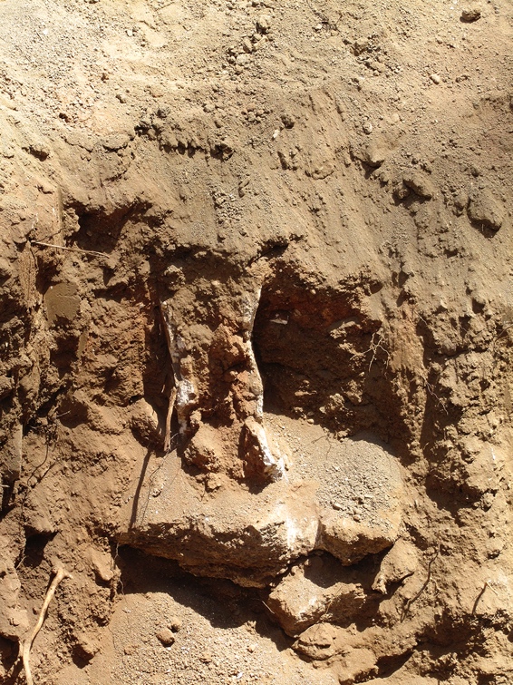 Fig. 9 : Mur en terre enduit de mortier et posé sur une dalle de grès de plage, découvert lors de la fouille du PCS