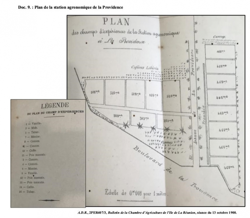 Illustration 8 : Plan de la station agronomique de la Providence (ADR, 2PER407/3, Bulletin de la Chambre d’agriculture de l’Île de La Réunion, séance du 13 octobre 1900