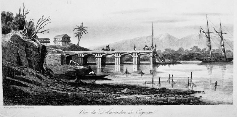 Document 4 : « Le port de Cayenne »