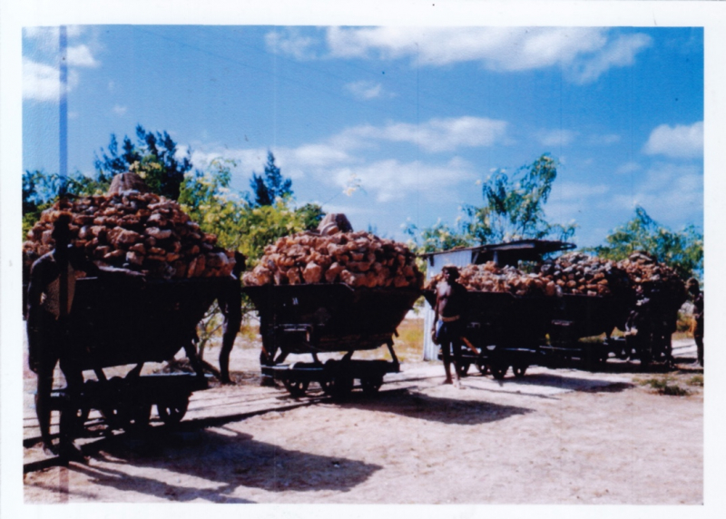 Wagonnets à bord desquels est transporté le phosphate exploité sur l’île de Juan de Nova, à la fin des années 1950