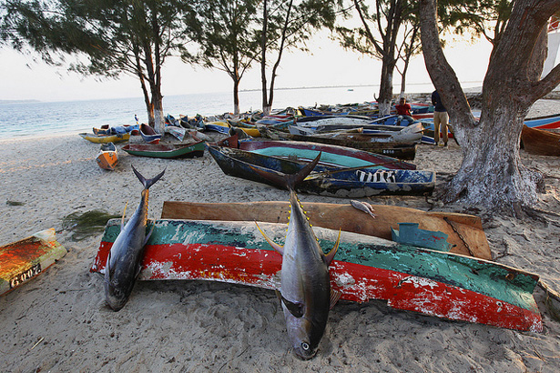 The image appears in Laura HENSON, « Natural Gas and Albacore : What Tuna Says About the Future of Mozambique »